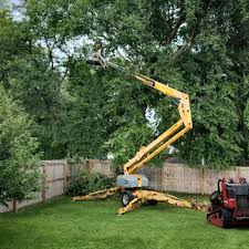 Best Leaf Removal  in Oakfield, WI