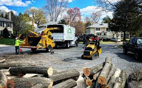 Best Landscape Design and Installation  in Oakfield, WI