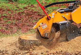 Best Tree and Shrub Care  in Oakfield, WI