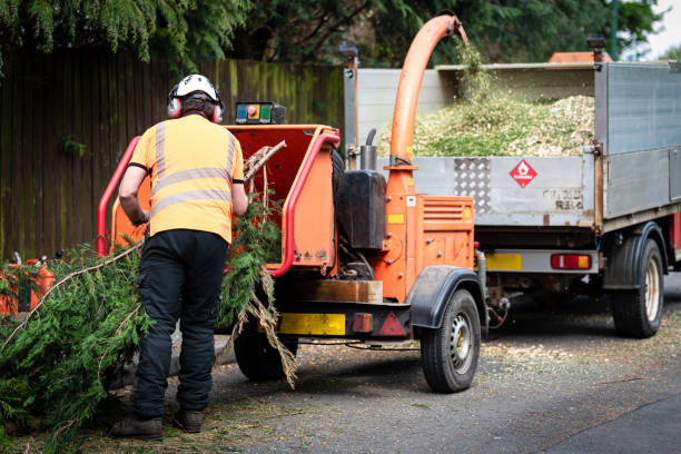 Best Lawn Grading and Leveling  in Oakfield, WI