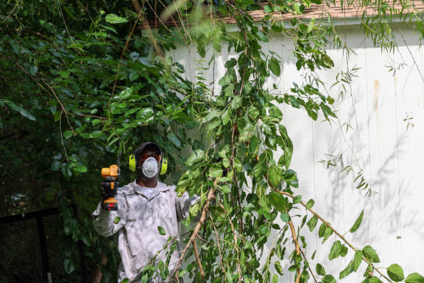 Best Pest Control for Lawns  in Oakfield, WI